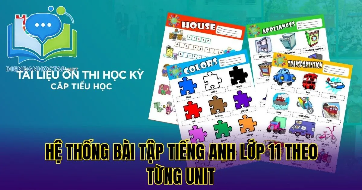Hệ thống bài tập tiếng Anh lớp 11 theo từng unit