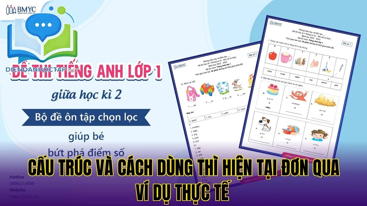 Cấu trúc và cách dùng thì hiện tại đơn qua ví dụ thực tế