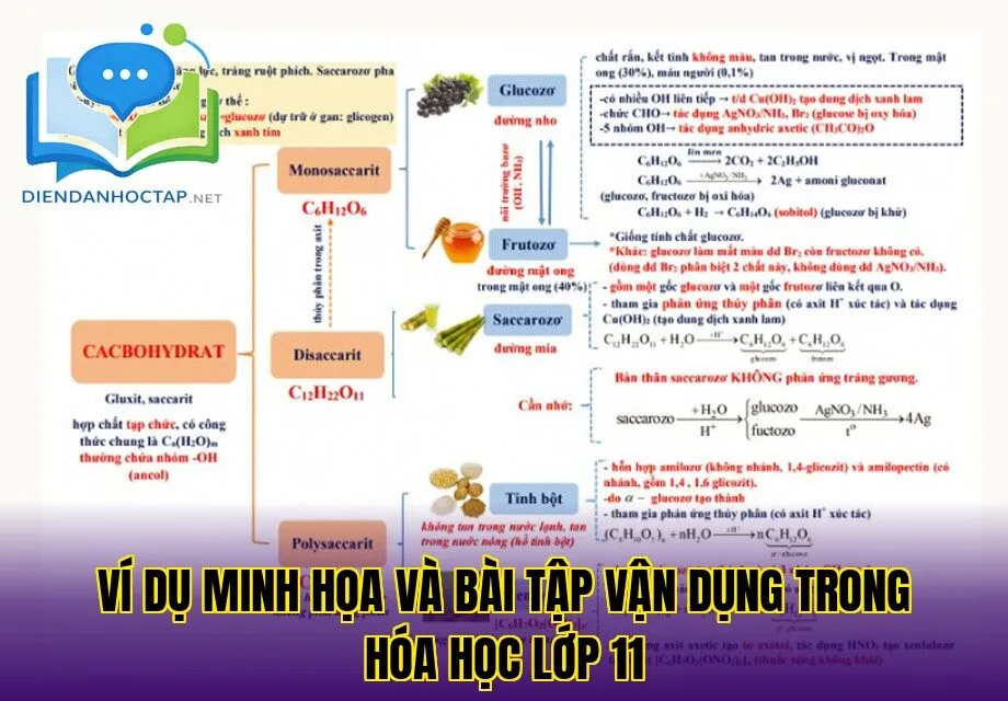 Ví dụ minh họa và bài tập vận dụng trong hóa học lớp 11