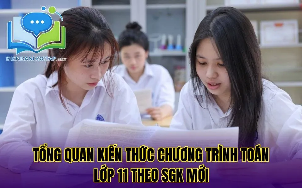 Tổng quan kiến thức chương trình Toán lớp 11 theo SGK mới