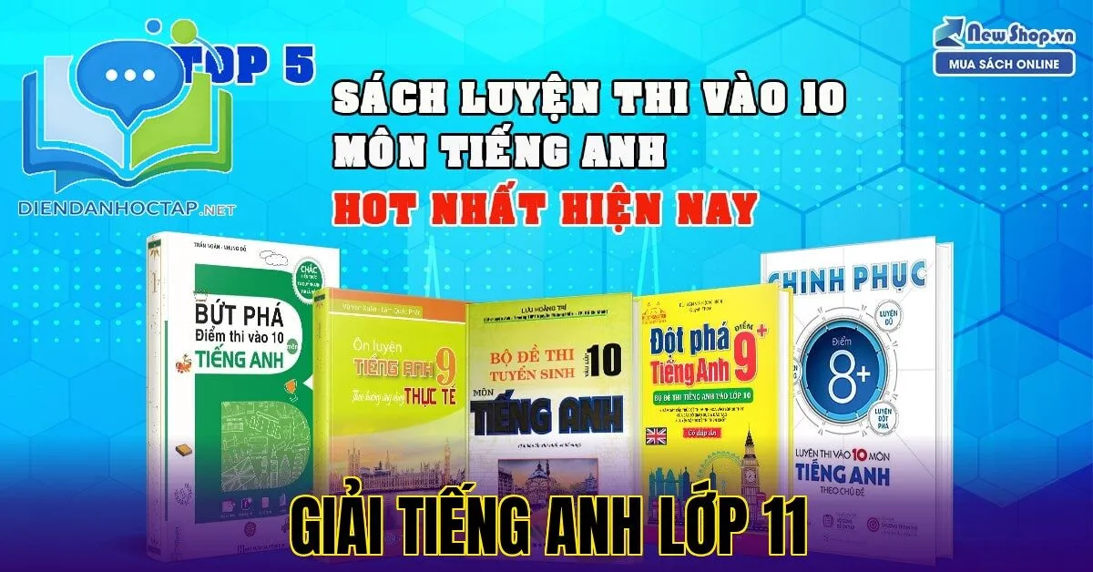Giải Tiếng Anh Lớp 11