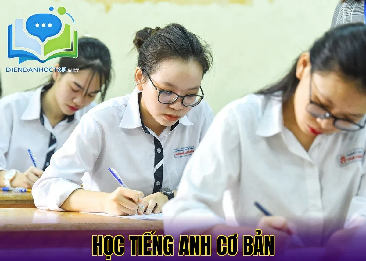 Học Tiếng Anh Cơ Bản