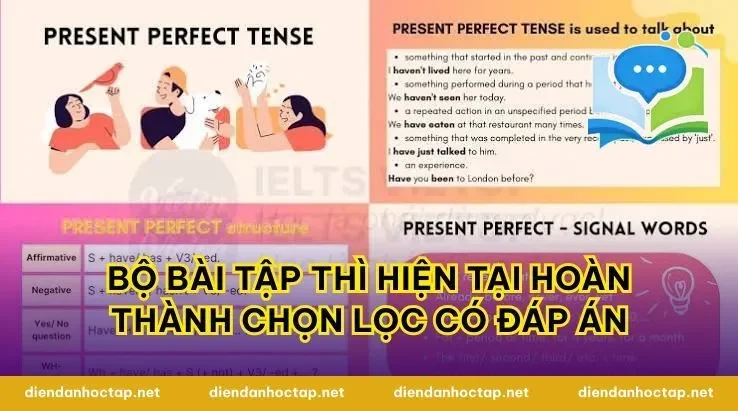 Bộ bài tập thì hiện tại hoàn thành chọn lọc có đáp án